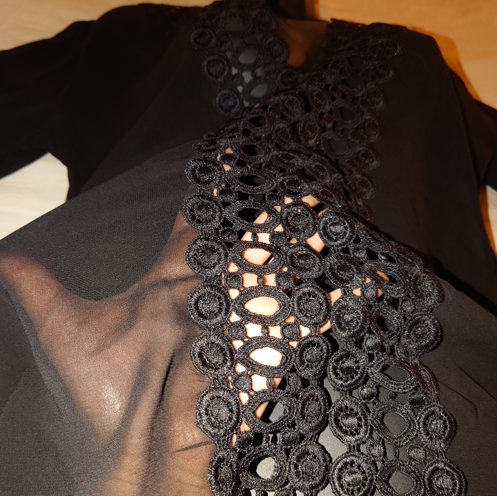NWOT Sheer Black Swim Cover-up Tunic Designer Eyelet Lace Plunge Top S / M, 4, 6 - Picture 7 of 8